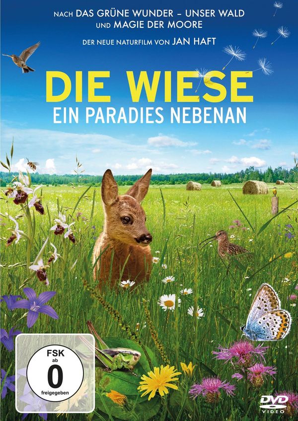 Die Wiese - Ein Paradies nebenan (DVD)