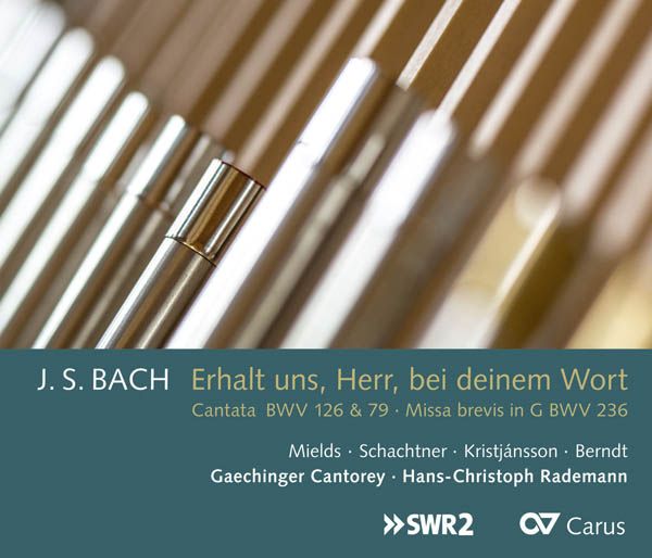 Johann Sebastian Bach: Missa brevis BWV 236 (CD)
