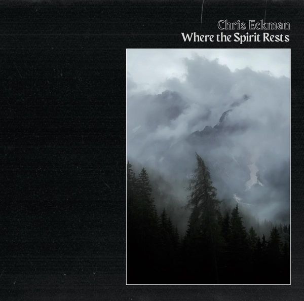 Chris Eckman (Walkabouts): Where The Spirit Rests (CD)