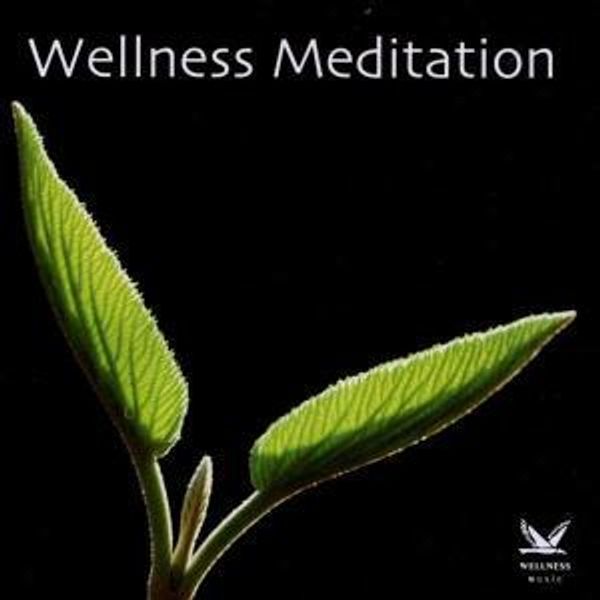Wellness Meditation (CD)