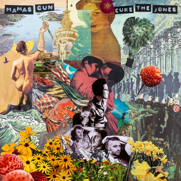 Mamas Gun (Soul): Cure The Jones (CD)