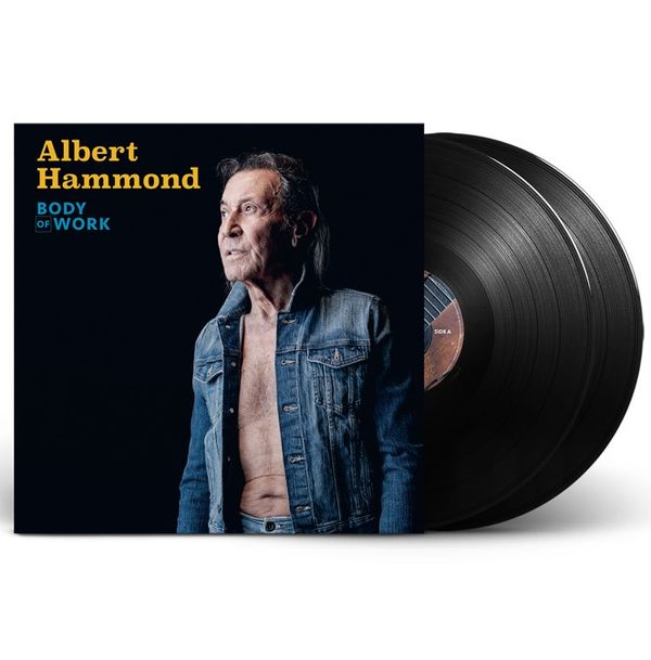 Albert Hammond: Body Of Work (180g) (2 Vinyl-LPs)