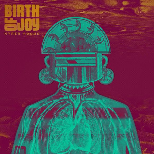 Birth Of Joy: Hyper Focus (CD)