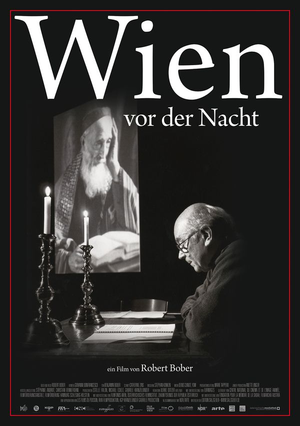 Wien vor der Nacht (DVD)