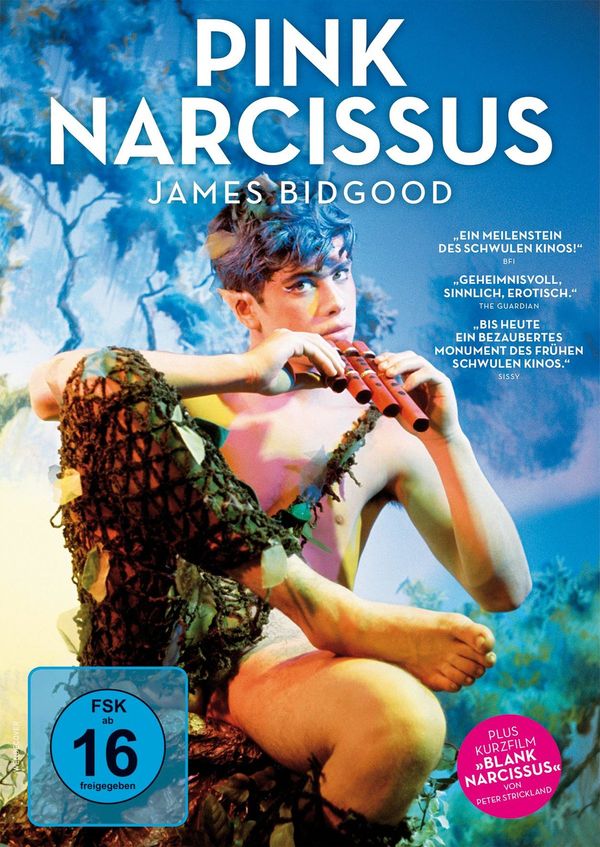 Pink Narcissus (DVD)