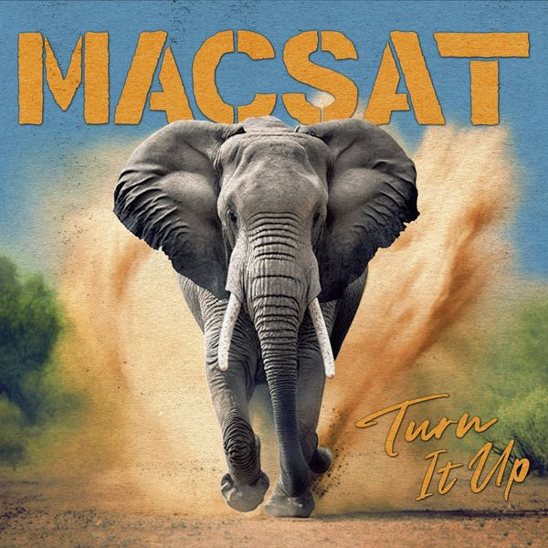 Macsat: Turn It Up (180g) (Crystal Clear Vinyl) (Vinyl-LP)