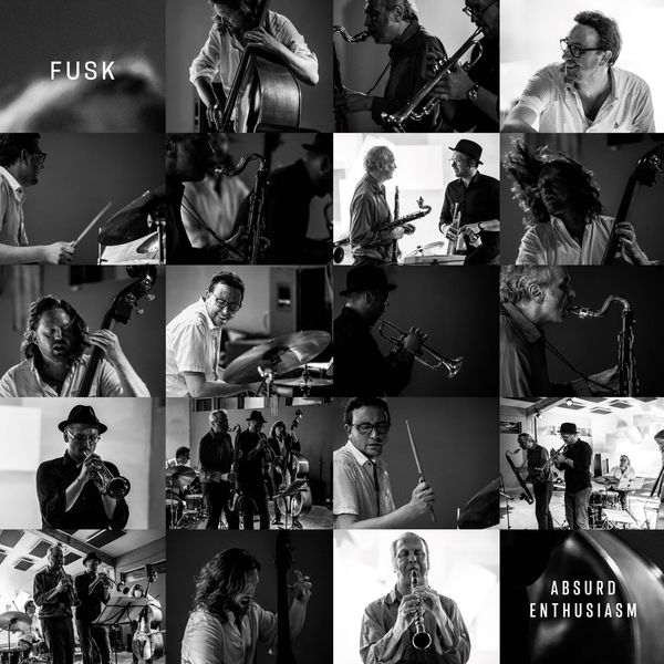 Fusk: Absurd Enthusiasm (CD)
