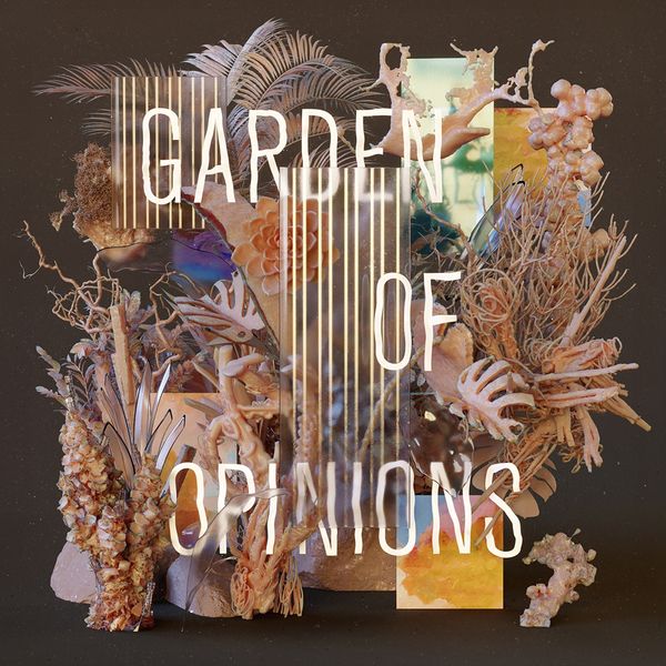 Footprint Project: Garden Of Opinions (CD)