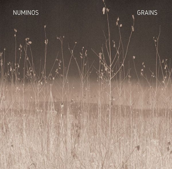 Numinos: Grains (Vinyl-LP)