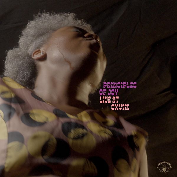 Principles Of Joy: Live At CXVIII (CD)