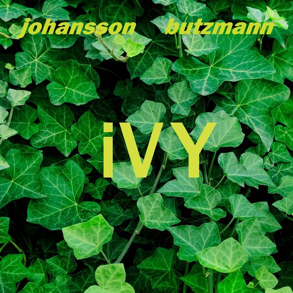 Frieder Butzmann: Ivy (Vinyl-LP)