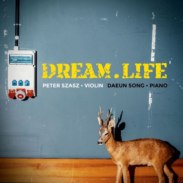 Peter Szasz & Daeun Song - Dream.Life (180g) (Vinyl-LP)