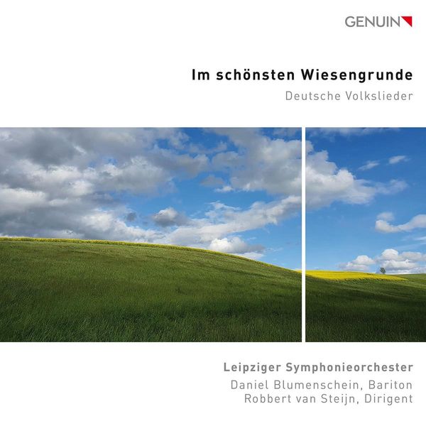Daniel Blumenschein - Im schönsten Wiesengrunde (CD)