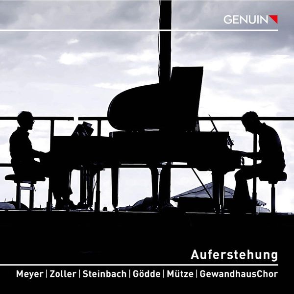 Gustav Mahler: Symphonie Nr.2 für Soli,Chor,2 Klaviere (nach ... (CD)