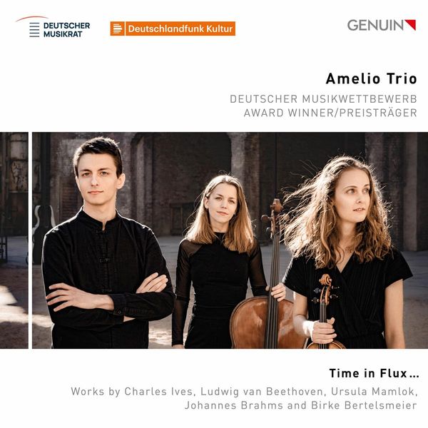Amelio Trio - Time in Flux ... (CD)