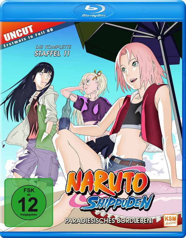 Naruto Shippuden Staffel 11 (Blu-ray)