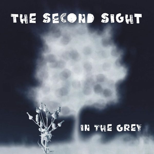 The Second Sight: In The Grey (CD)