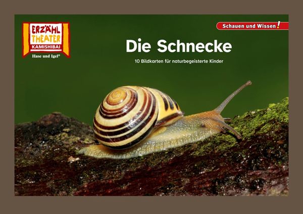 Die Schnecke / Kamishibai Bildkarten (Buch)