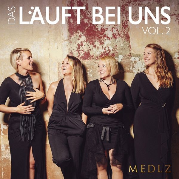 Medlz: Das läuft bei uns Vol.2 (CD)