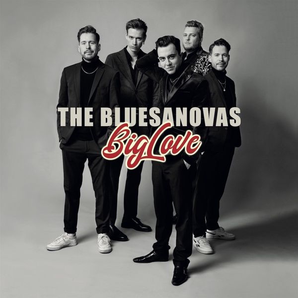 The Bluesanovas: Big Love (Vinyl-LP)