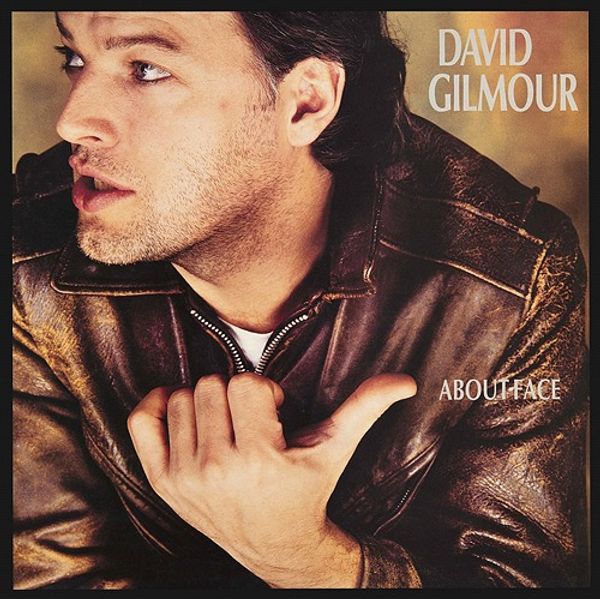 David Gilmour: About Face (Blu-Spec CD2) (Papersleeve) (CD)
