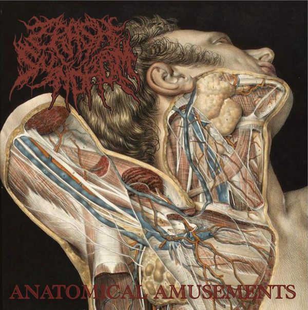 Crash Syndrom: Anatomical Amusement (CD)