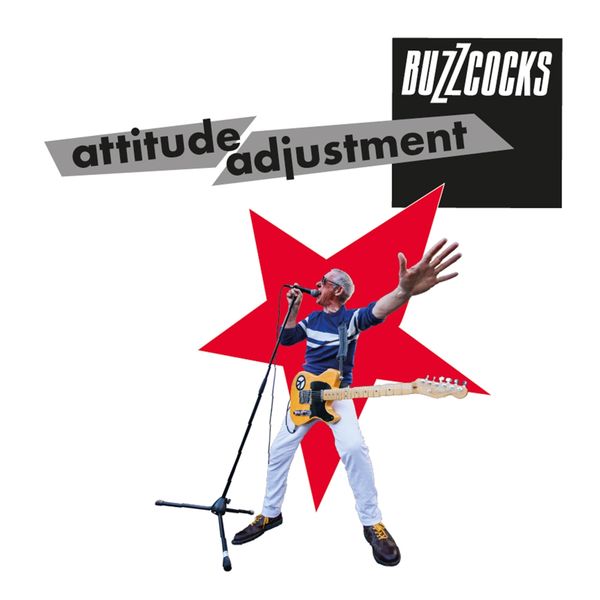 Buzzcocks: Attitude Adjustment (Vinyl-LP)