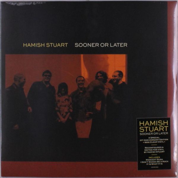Hamish Stuart (Average White Band): Sooner Or Later (180g) (C... (LP)