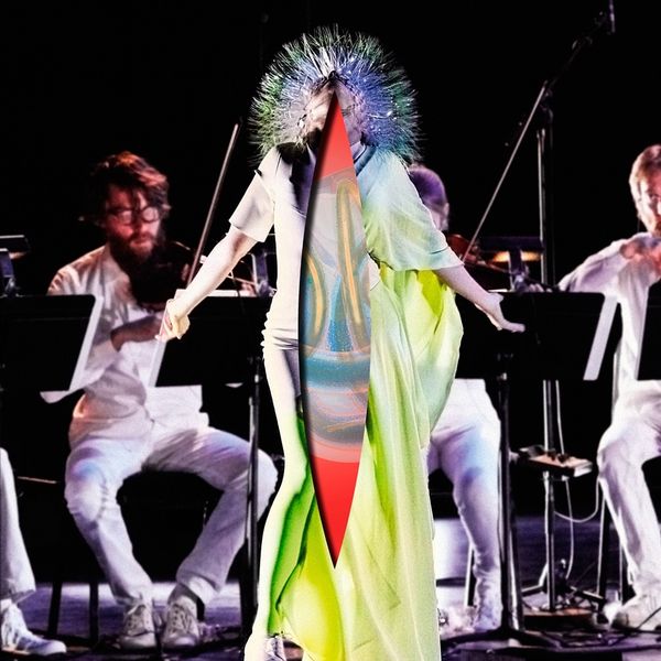 Björk: Vulnicura Strings: The Acoustic Version (CD)