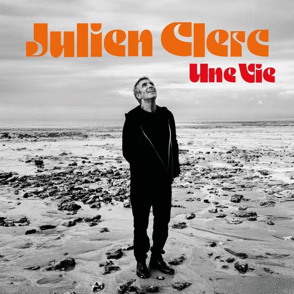 Julien Clerc: Une Vie (Vinyl-LP)