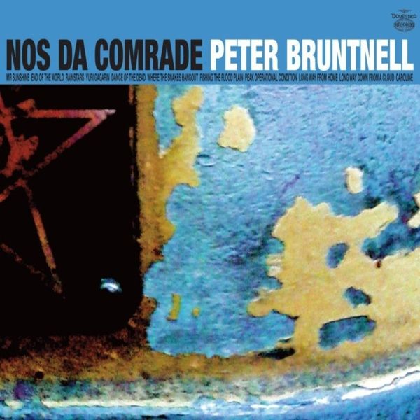 Peter Bruntnell: Nos Da Comrade (CD)
