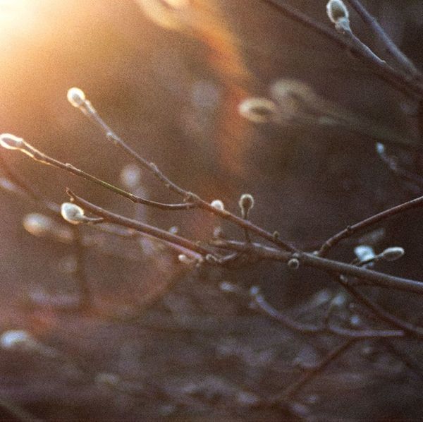 The Aries Project: English Ghosts (remastered) (Vinyl-LP)