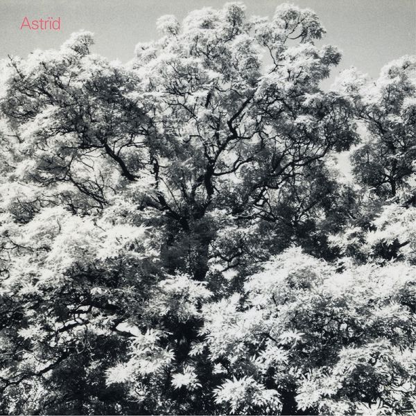 Astrid: Always Digging The Same Hole (CD)