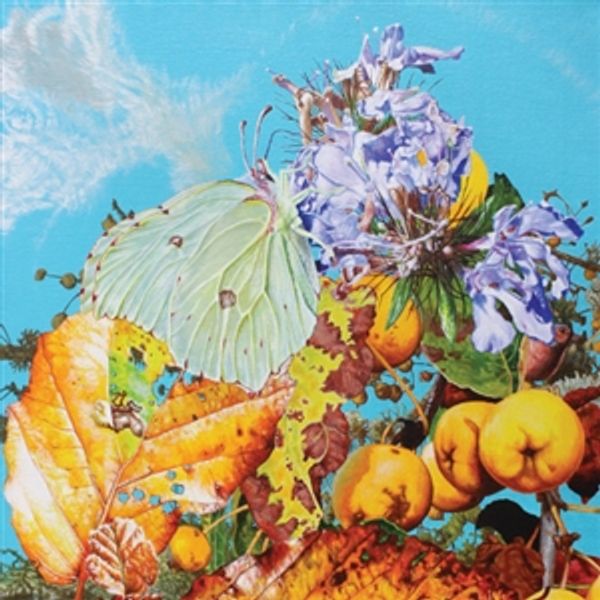 Bennett Wilson Poole: I Saw A Star Behind Your Eyes, Dont Le... (CD)