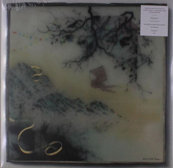 Novo Amor: Birthplace (Vinyl-LP)