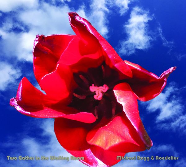Michael Begg & Hans Joachim Roedelius: Two Gather In The Wait... (CD)
