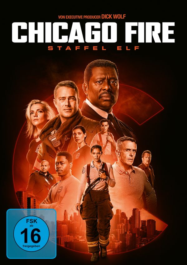 Chicago Fire Staffel 11 (5 DVDs)
