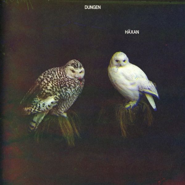 Dungen: Soundtrack: Häxan (CD)