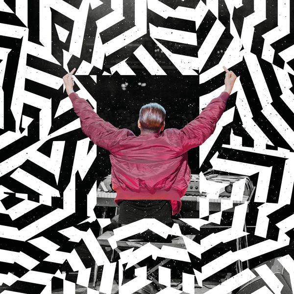 Danger Dan: Das ist alles von der Kunstfreiheit gedeckt (L... (2 LPs)