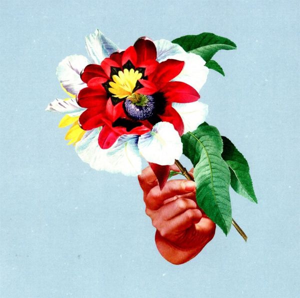 Maribou State: Kingdoms In Colour (CD)