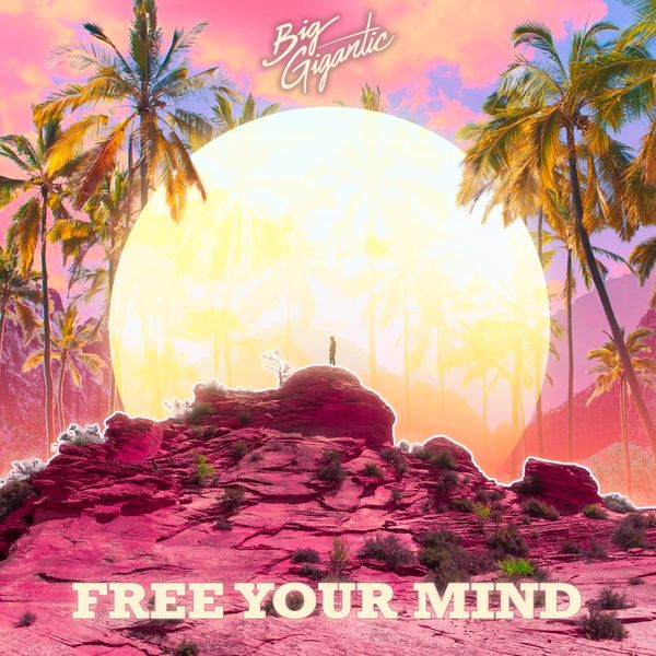 Big Gigantic: Free Your Mind (CD)