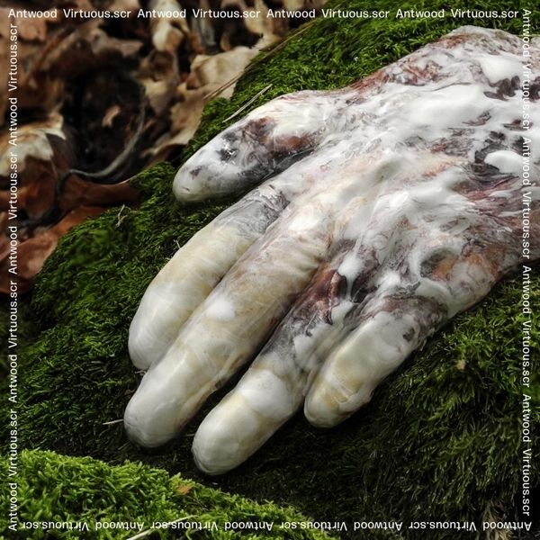 Antwood: Virtuous.scr. (2 Vinyl-LPs)