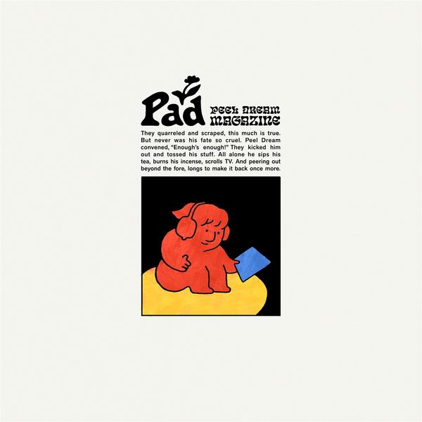 Peel Dream Magazine: Pad (CD)