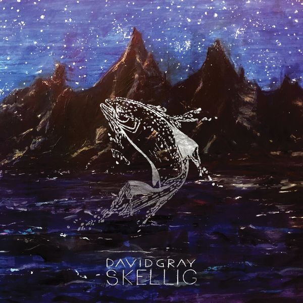 David Gray: Skellig (2 Vinyl-LPs)