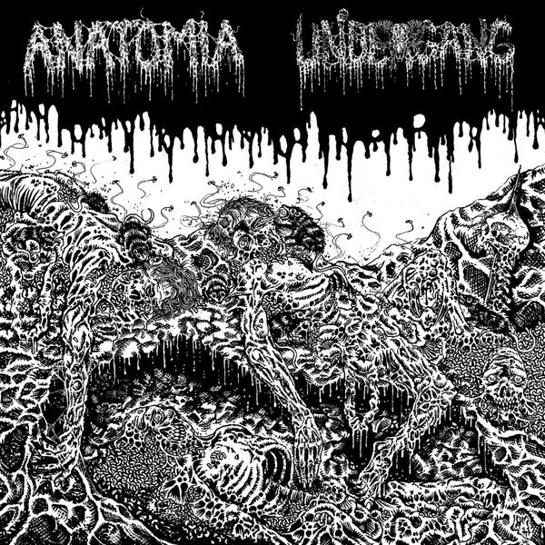Undergang: Split LP (Vinyl-LP)