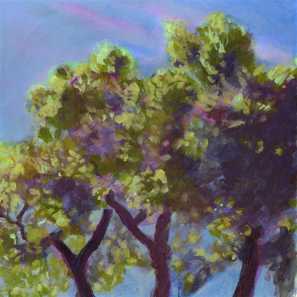 Eli Winter: The Time To Come (Vinyl-LP)