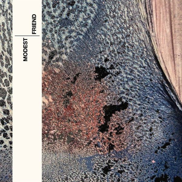 Modest: Friend (Vinyl-LP)
