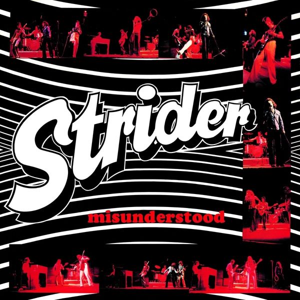 Strider: Misunderstood (Collectors Edition) (CD)