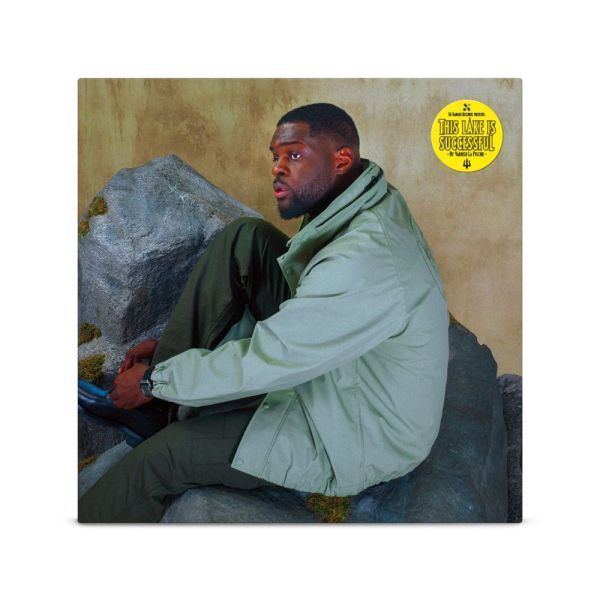 Varnish La Piscine: This Lake Is Successful (Vinyl-LP)