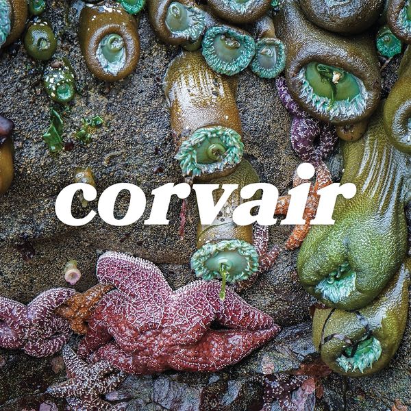 Corvair: Corvair (Vinyl-LP)